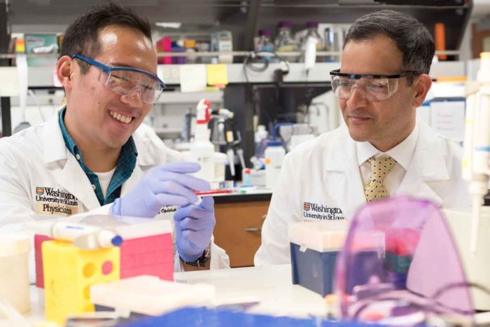 MD/PhD student Jonathan Lin (left) and Rajendra S. Apte, MD, PhD, of Washington University School of Medicine in St. Louis, have identified a pathway involved in photoreceptor death in the retina. They also have found a way to reverse damage to those cells, potentially providing a treatment strategy for blinding diseases such as retinitis pigmentosa. (Robert Boston/School of Medicine)