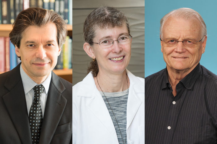 The American Association for the Advancement of Science has named (from left) Azad Bonni, MD, PhD, Phyllis I. Hanson, MD, PhD, and Gary Stormo, PhD, as 2016 fellows in recognition of their scientific accomplishments.