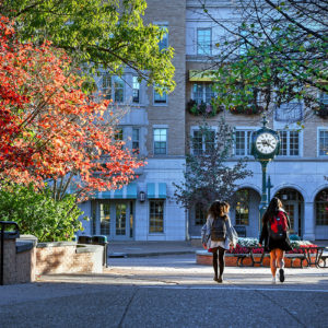 fall leaves on campus