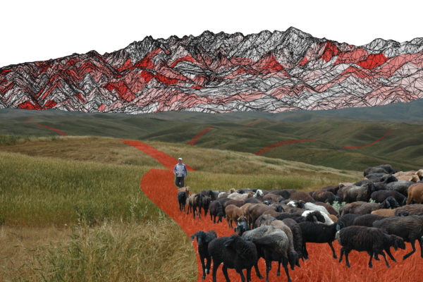 Nature: Silk Road evolved as ‘grass-routes’ movement