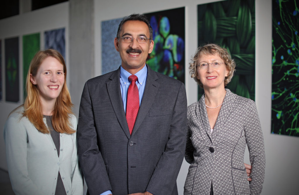 Farshid Guilak (center), PhD and Lilianna ­Solnica-Krezel (right), PhD, co-directs the ­Center of ­Regenerative ­Medicine and Simple Model Organisms. ­Angela Bowman (left), ­assistant professor of ­developmental biology, serves as executive director. (Photo: James Byard)