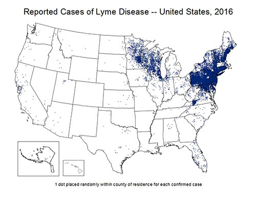 Reported Lyme Disease Cases, U.S., 2016