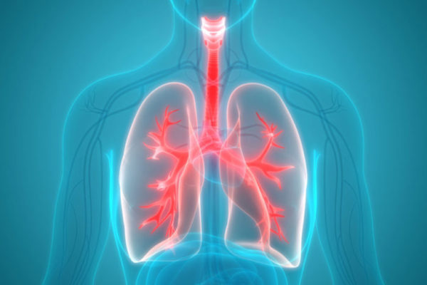 Clues found to early lung transplant failure