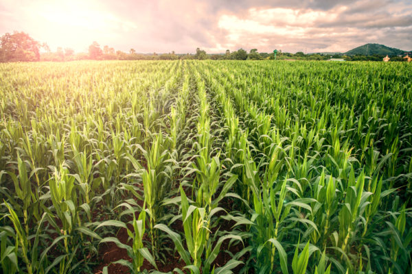Machine learning used for helping farmers select optimal products suited for their operation