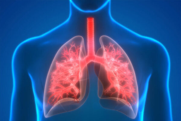 New clues discovered to lung transplant rejection