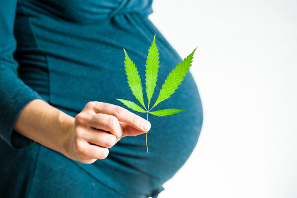 Cannabis during pregnancy bumps psychosis risk in offspring