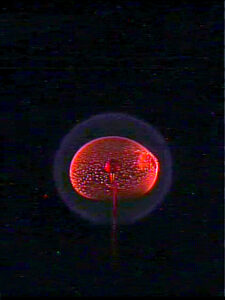 A spherical flame burns on the space station