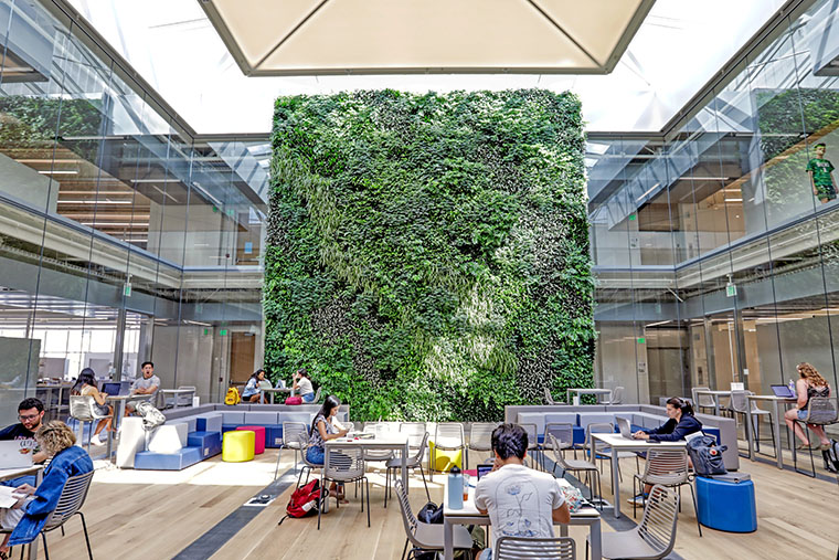 Green wall in Kuehner Court