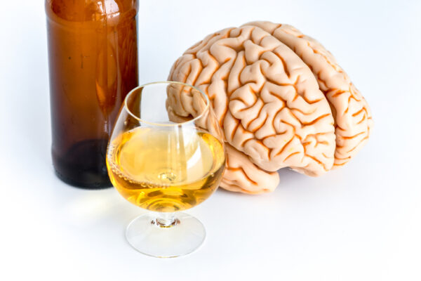 Which came first: brain size or drinking propensity?