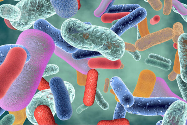 NIH gives major boost to microbiome research on Medical Campus