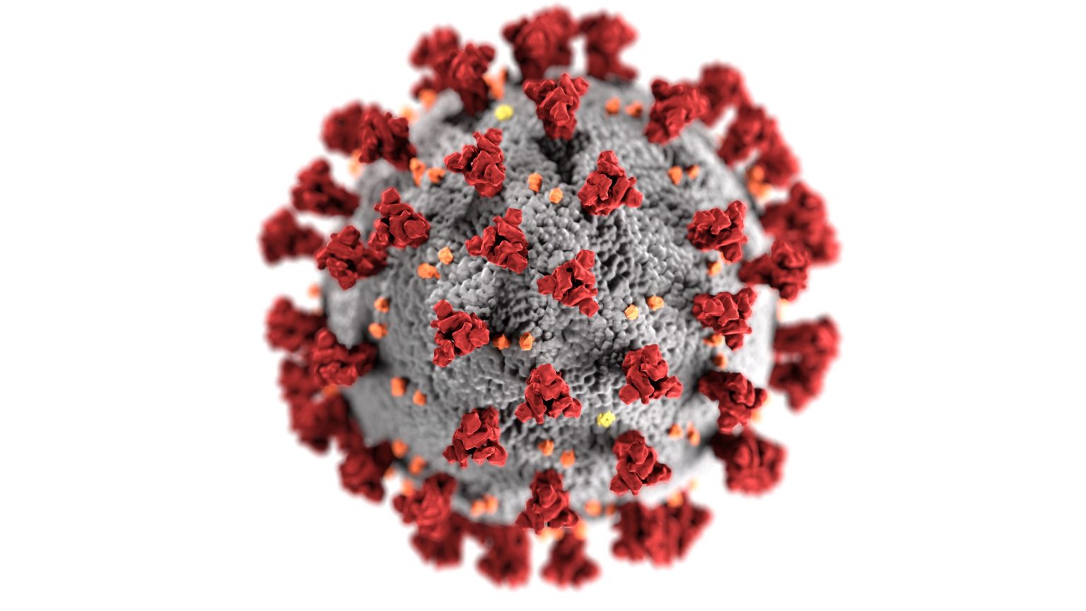 Newswise: WashU Experts: Coronavirus fact vs. fiction