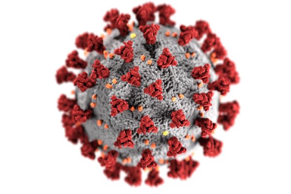 WashU Experts: Coronavirus fact vs. fiction