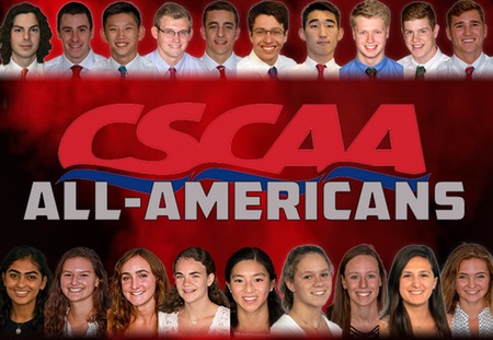 University swimmers named to All-America teams | The Source | Washington University in St. Louis