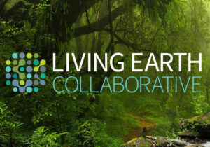 Living Earth Collaborative