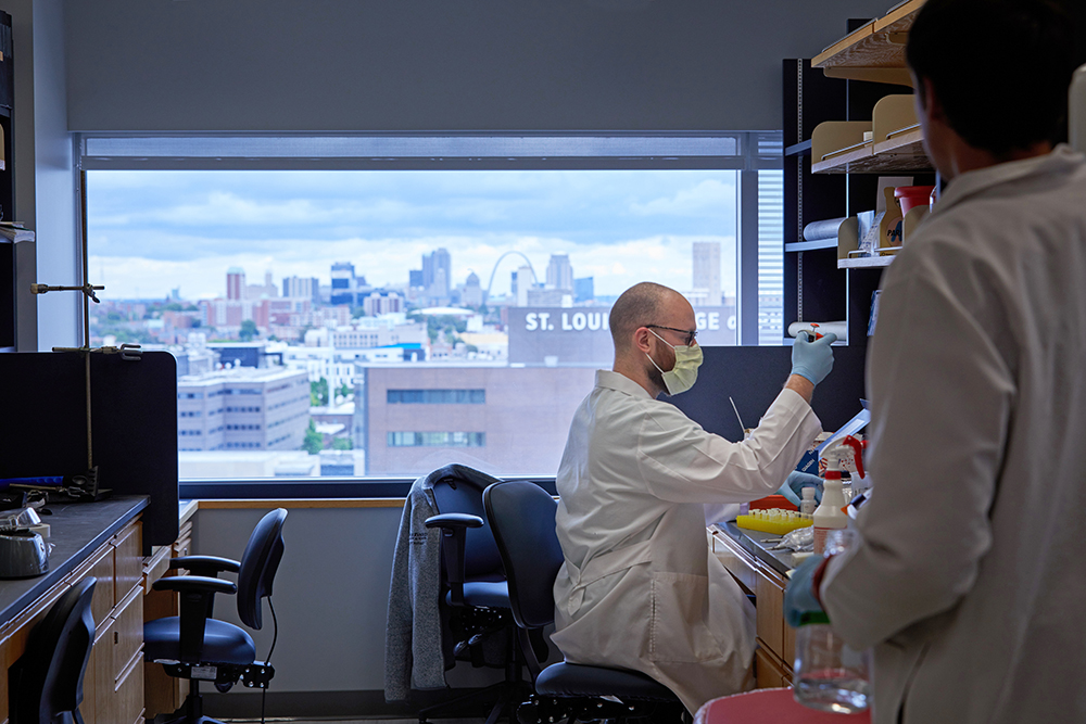 In the McDonnell Pediatric Research Building, visiting scientist Paul Rothlauf works on a vaccine for COVID-19 in the lab of Sean Whelan, MD, the Marvin A. Brennecke Distinguished Professor. Whelan, also head of the Department of Molecular Microbiology, was recruited to the Washington University School of Medicine from Harvard University in 2019. (Photo: Matt Miller/Washington University School of Medicine)