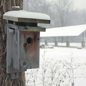 snow-covered bird house