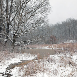 snowy creek