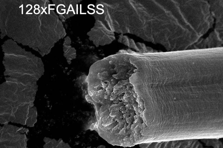 Microbially produced fibers: stronger than spider silks