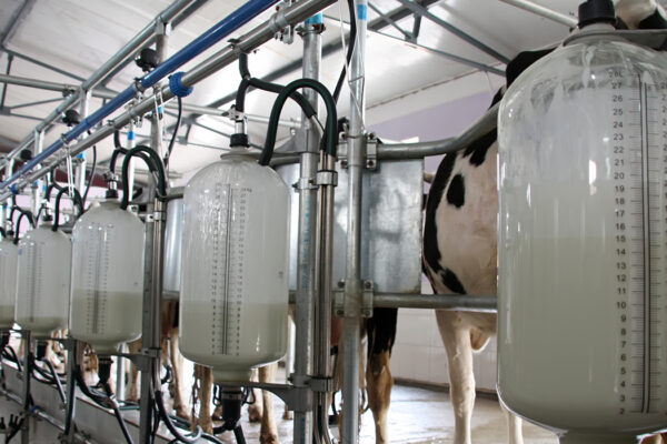 Don’t cry over spoiled milk, incentivize supply chain for longer shelf life