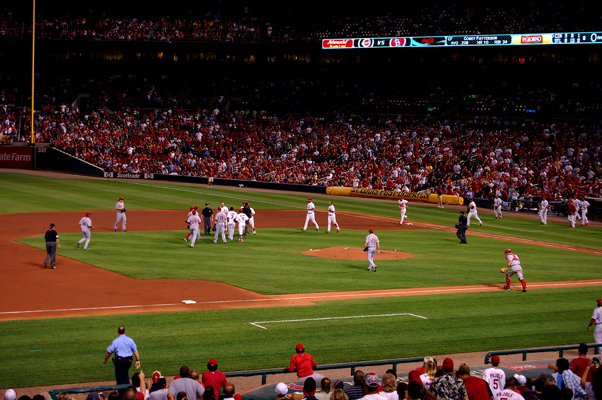 MLB Fanatic: St. Louis Cardinals 12 x 12 Paper