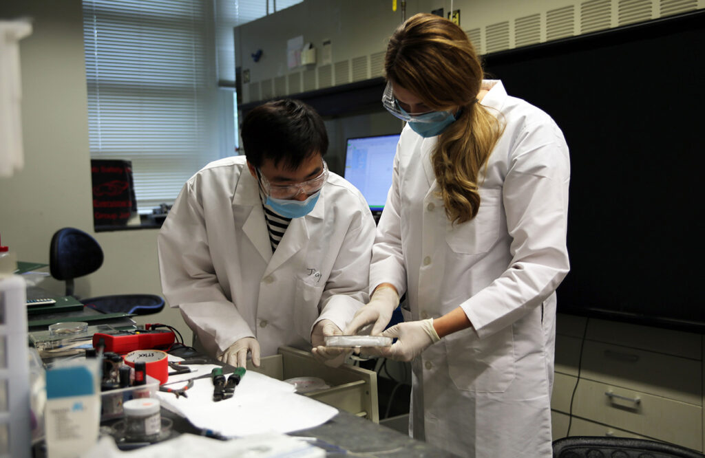 High school teachers join WashU faculty in the lab - The Source ...