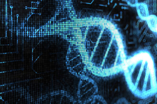 $7 million to support research into how human genome works