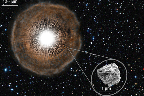 Stellar fossils in meteorites point to distant stars