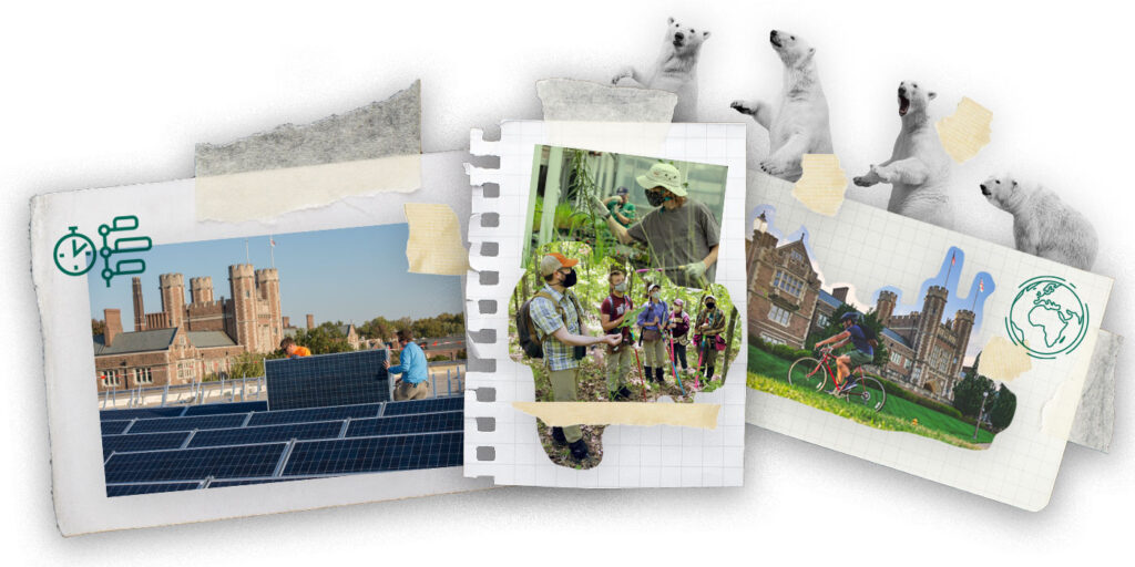 collage of polar bears, solar panels, student biking on Danforth campus, students outdoors for sustainability programs