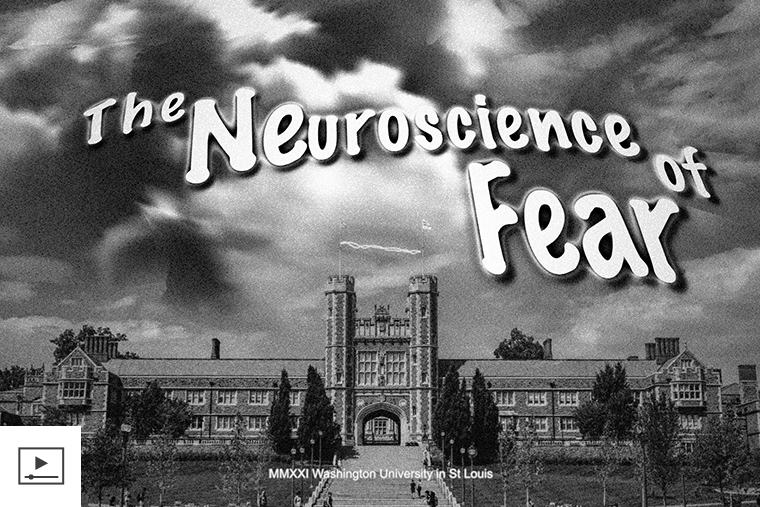 The neuroscience of fear