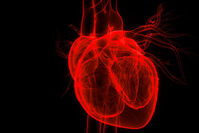 Popular heart failure drug no better than older drug