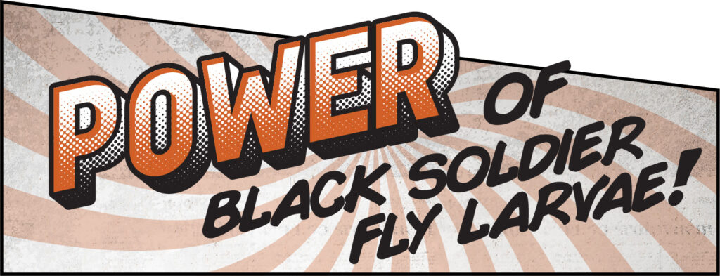 Power of Black Soldier Fly larvae banner