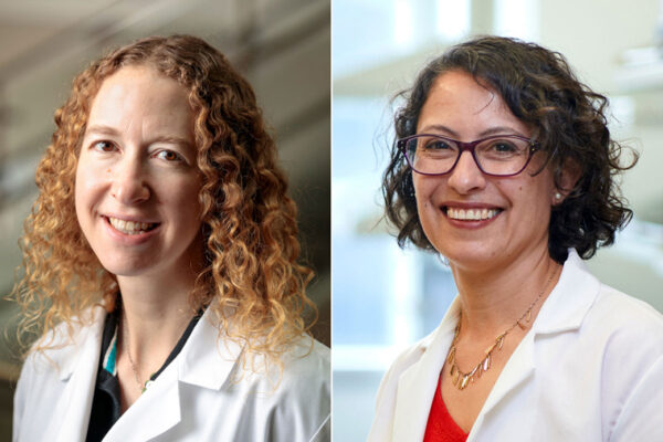 López, Stallings elected to American Academy of Microbiology