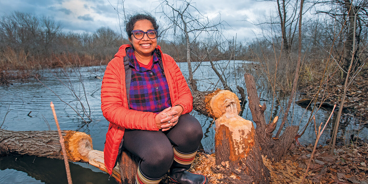 On Ellis Island in the Mississippi River, Arpita Bose harvests microbes in the wetlands area of the Riverlands Migratory Bird Sanctuary. (Photo: Joe Angeles/Washington University)