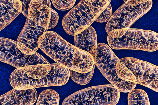 Genetic roots of three mitochondrial diseases ID’d via new approach