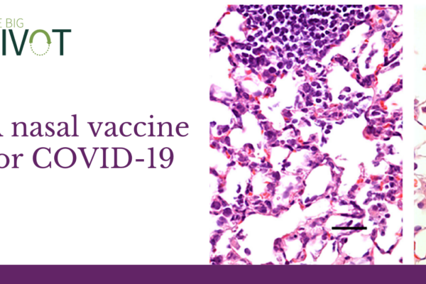 School of Medicine researchers develop COVID-19 nasal vaccine