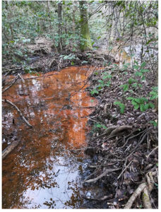 Shallow, rusty-brown water 