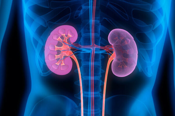 Diabetic kidney disease may be slowed with drug combinations