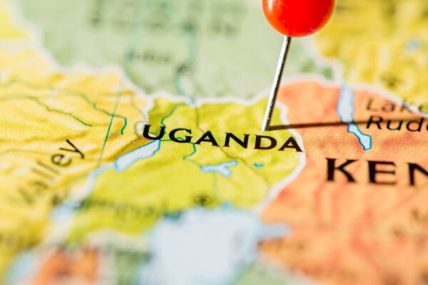 Ssewamala awarded $3.2M to study strategies for HIV treatments among Ugandan youth