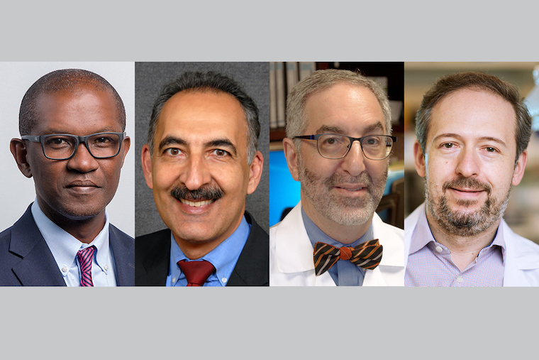 Four elected to National Academy of Medicine
