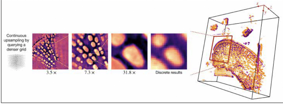 Ulugbek Kamilov’s research team has developed a machine learning algorithm that can create a continuous 3D model of cells from a partial set of 2D images that were taken using the same standard microscopy tools found in many labs today. The imaging system can zoom in on a pixelated image and fill in the missing pieces, creating a continuous 3D representation.