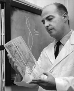 Arthur Kornberg in 1957, while chair of Washington University's Department of Microbiology. (Washington University Archives)