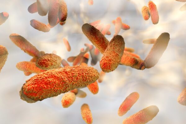 Research in mice offers clues for fighting deadly bacteria