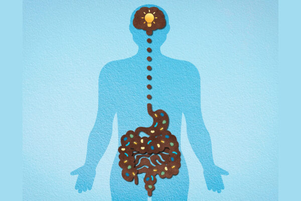 Altered gut bacteria may be early sign of Alzheimer’s disease