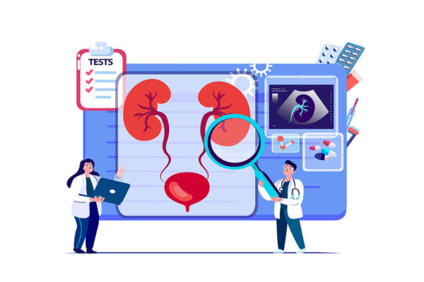 Kidney tissue atlas serves as blueprint for understanding kidney injury, disease