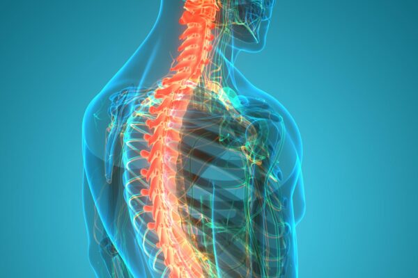 A low-cost potential therapy for spinal cord injuries