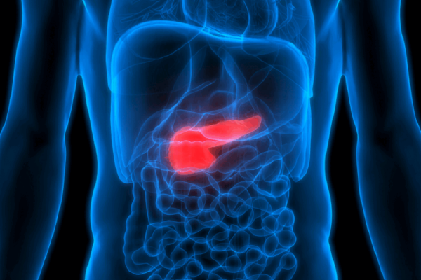 Pancreatic cancer research, clinical trials supported with $10.9 million NCI grant