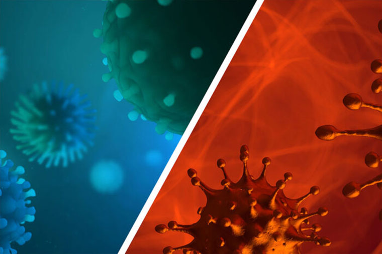 influenza and coronavirus image