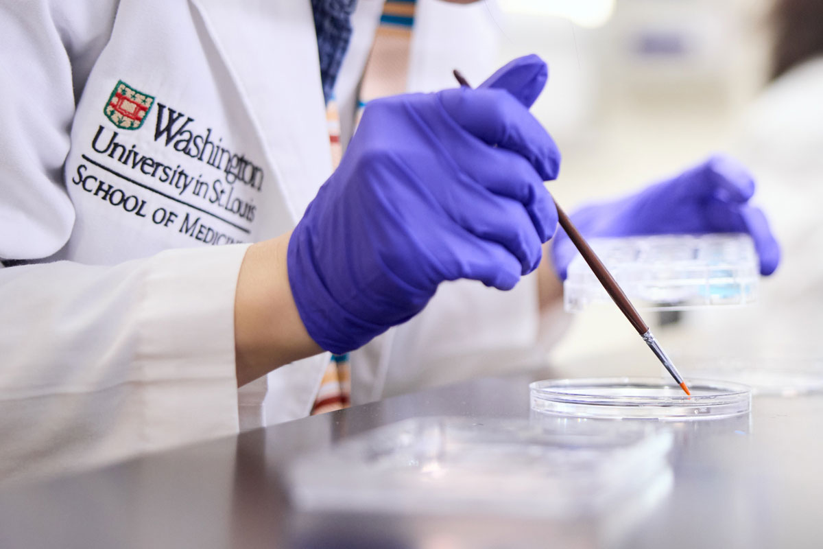 WashU Medicine rises to No. 2 in NIH research funding
