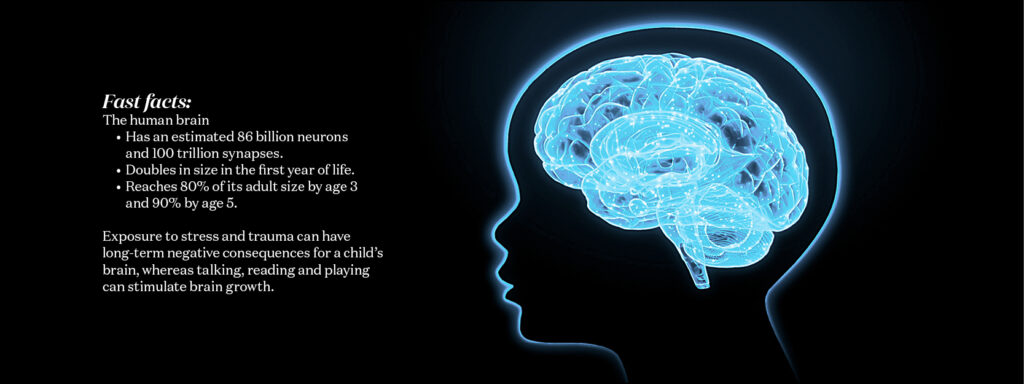 Fast facts about human brain development